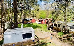 Waldcamp Mit Kleinen Huetten Und Caravans In Cottbus Natur Pur